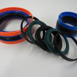 Piston Seal Assemblies