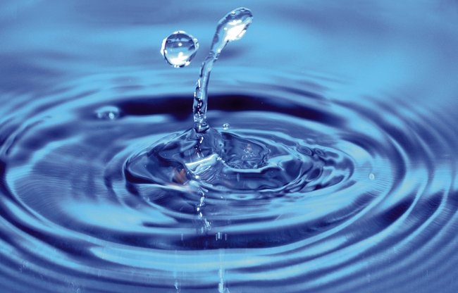 Water Filter O-Rings
